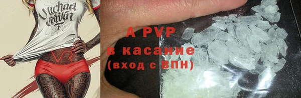 стафф Алзамай