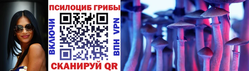 Псилоцибиновые грибы Psilocybe  как найти закладки  Обоянь 