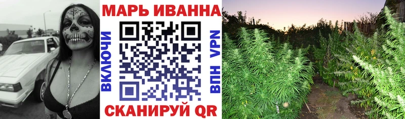 Бошки марихуана план  купить наркоту  Обоянь 